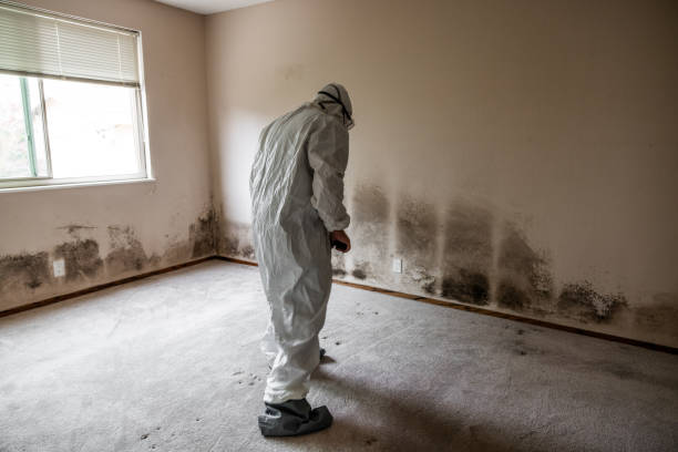 Best Certified Mold Removal  in Newberry, SC